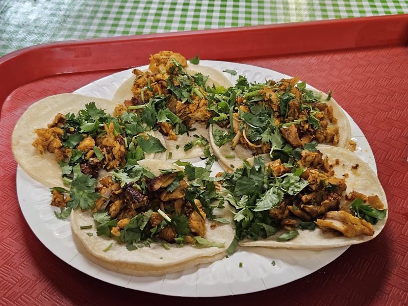 Taco Mich food